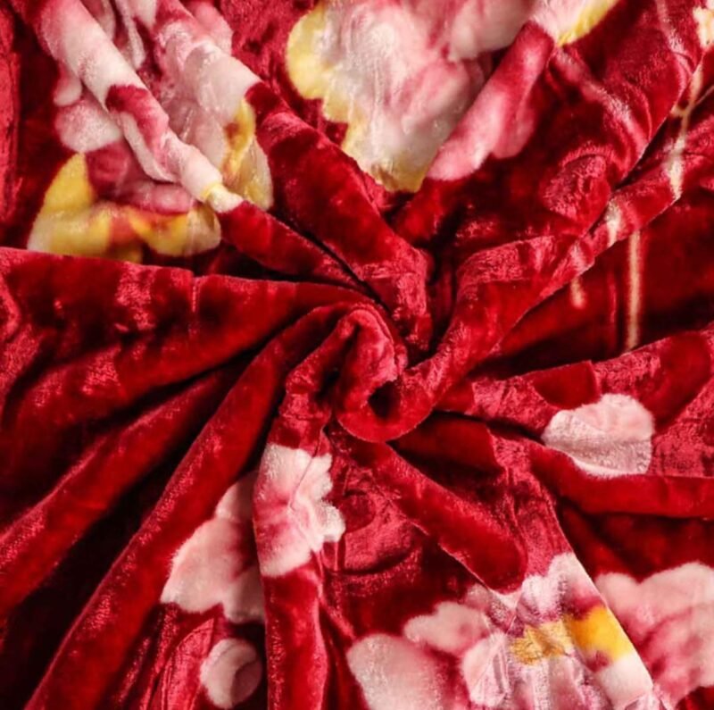 Cloudy Flannel 1-ply Blanket - Image 4