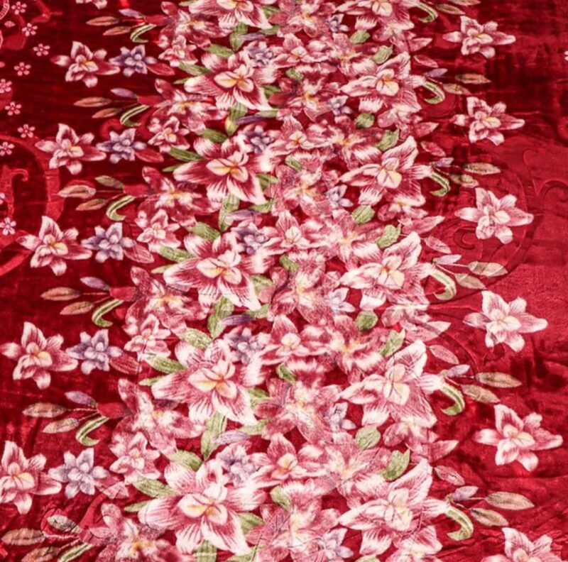 Cloudy Flannel 1-ply Blanket - Image 2